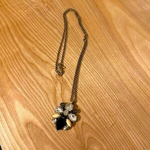 JCrew Long Pendant Necklace